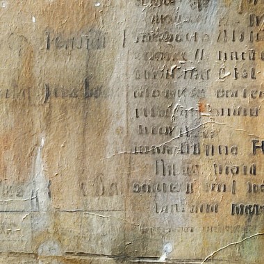 fragment copy8619